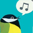 程序图标：Birdie Memory