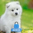 Programikonen: Puppy Dog Lock Screen