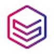 Programikonen: REALvision Online