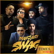 程序图标：Punjabi Swag