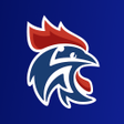 程序图标：FFHandball