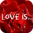 Programikonen: Sweet Love Quotes
