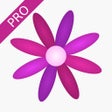 Icoon van programma: Menstrual Period Tracker …