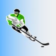 程序图标：MvsM Hockey