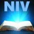 NIV Bible - New International