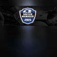 程序图标：Soccer Manager 2015