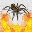 Icoon van programma: Pests control 3D