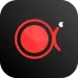 Icono de programa: ApowerREC