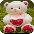 ไอคอนของโปรแกรม: Cute Teddy Bear wallpaper
