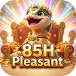 Ikon program: 85HPleasant