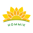 Ikon program: HOMMIK
