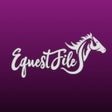 程序图标：EquestFile