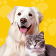 Ícone do programa: Pet Prank-Translation  Vo…