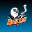 Programikonen: San Diego Gulls Hockey