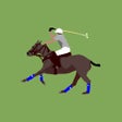 Ikon program: Polo King