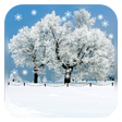Programikonen: Snow Season Live Wallpape…