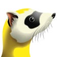 Ikon program: Ferret Tools