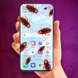 Programikonen: Cockroach on the Screen