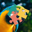 程序图标：My Bird Puzzle Tk88