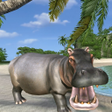 Programın simgesi: Wild Hippo Beach Attack J…