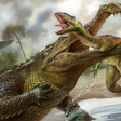 أيقونة البرنامج: Sarcosuchus Simulator