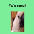 ไอคอนของโปรแกรม: You're Normal