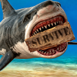 Programikonen: Raft Survival  Ultimate