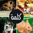 أيقونة البرنامج: اربع صور كلمه واحده