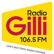 程序图标：Radio Gilli