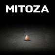 프로그램 아이콘: Mitoza