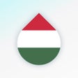 Ícone do programa: Learn Hungarian language …