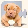 Dogs  Puppies Puzzles