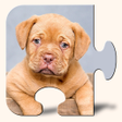 Icon of program: Dogs  Puppies Puzzles