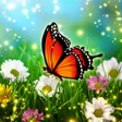 Icon of program: Hidden Object Adventure: …
