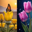 ไอคอนของโปรแกรม: Flower Wallpaper Pink 4K …