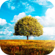 Programikonen: Awesome Land 2 Live wallp…