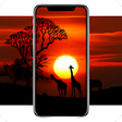 Icon of program: Wallpaper Master