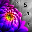 Programın simgesi: Photo by Number