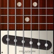 ไอคอนของโปรแกรม: Steel Guitar PRO