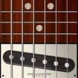 Steel Guitar PRO