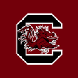 Icon of program: South Carolina Gamecocks