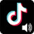TikTok Volume icon