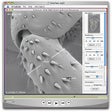 Icon of program: Virtual Microscope