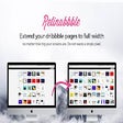 Icoon van programma: Retinabbble