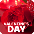 ไอคอนของโปรแกรม: Wallpapers for Valentine'…