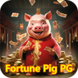 ไอคอนของโปรแกรม: Fortune Pig PG