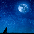 Иконка программы: Good Night Images with Qu…