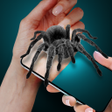 أيقونة البرنامج: Spider on My Hand Joke