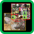 プログラムのアイコン：Lets Mosaic -- Easy Photo…