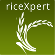 程序图标：riceXpert